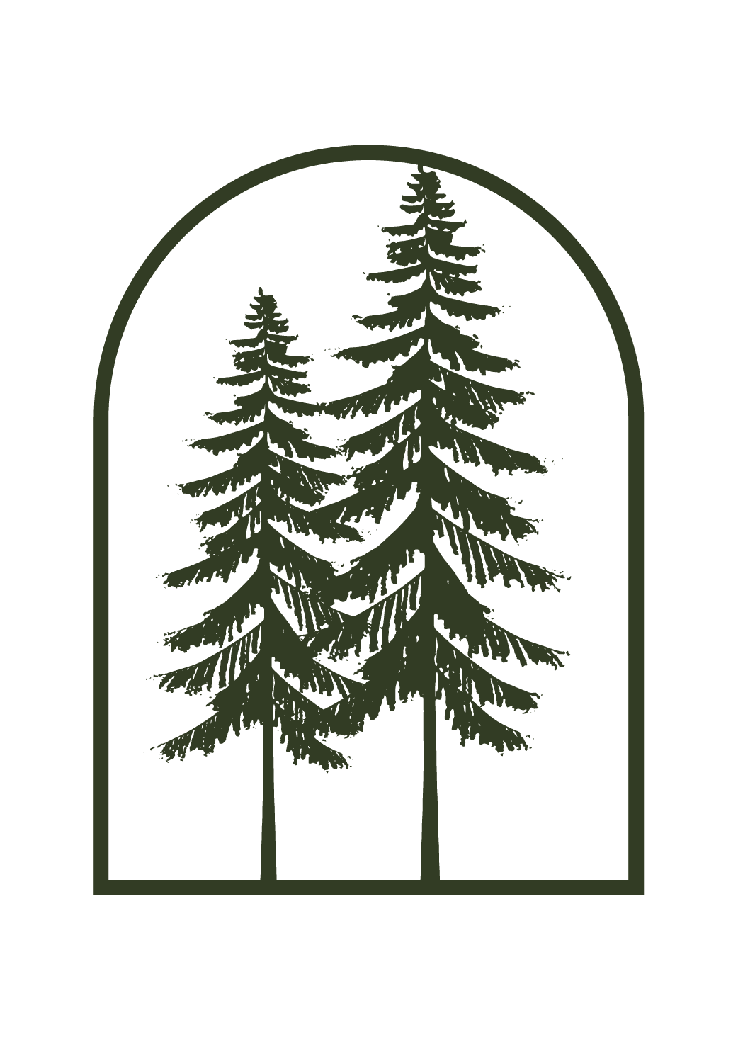 Illustration of evergreen trees